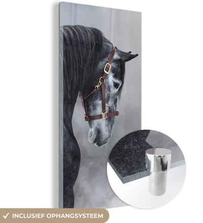 MuchoWow® Glasschilderij 60x120 cm - Schilderij acrylglas - Paard - Grijs - Bruin - Dieren - Rook - Foto op glas - Schilderijen