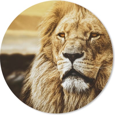 Muismat rond 20x20 cm - Mousepad Leeuwen - Profiel - Zonsondergang - Ronde muismatten