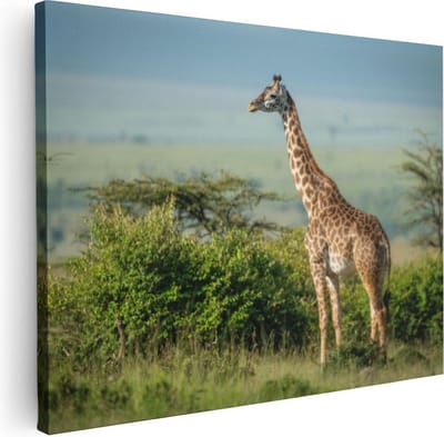Artaza Canvas Schilderij Giraffe - 40x30 cm - Klein - Wanddecoratie Afrikaanse Savanne - Muurdecoratie Jungle - Kamer Accessoires Dieren