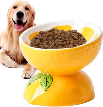Daity 1 Pack - Keramische kattenbak - gekantelde kattenbak - voerbak met fruitmotief - dierenbenodigdheden - anti-terugstroombak - kom met drukverlichting