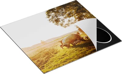 Chefcare Inductie Beschermer Varken Familie - Varkens - 60x50 cm - Afdekplaat Inductie - Kookplaat Beschermer - Inductie Mat