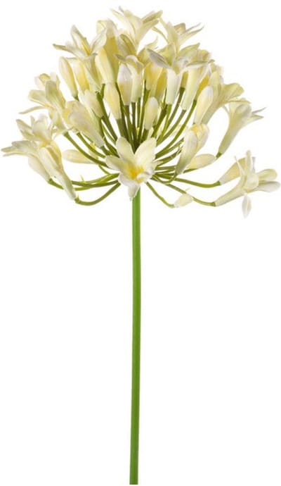 Emerald - Kunstbloem Agapanthus 75cm wit - Kunstplant voor binnen