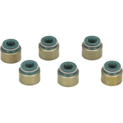 Victor Reinz Pakkingset, klepsteel REINZ 12-52939-02