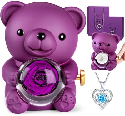 Dailygoods- Teddybeer met Eeuwige Roos - Rozenbeer - Verjaardagscadeau - Gepersonaliseerd Valentijnsgeschenk - Muziekdoos - Uniek en onvergetelijk