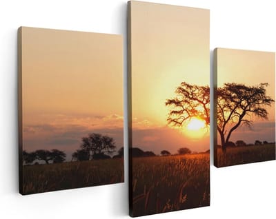 Artaza Canvas Schilderij Drieluik Zonsondergang Achter Een Acacia Boom - 90x60 - Foto Op Canvas - Canvas Print