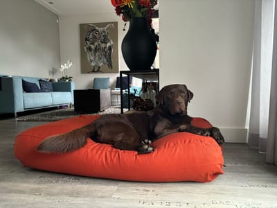 Dog's Companion - Hondenkussen / Hondenbed terracotta - XS - 55x45cm