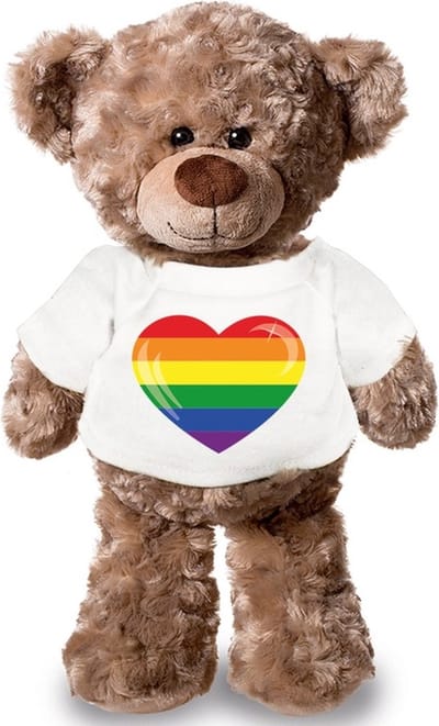 Knuffel teddybeer hartje - gaypride - 43 cm - pluche - met shirt - lgbtqi