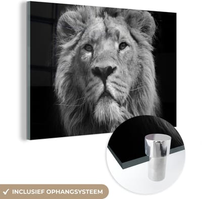 MuchoWow® Glasschilderij 120x80 cm - Schilderij acrylglas - Leeuw - Portret - Zwart - Wit - Foto op glas - Schilderijen