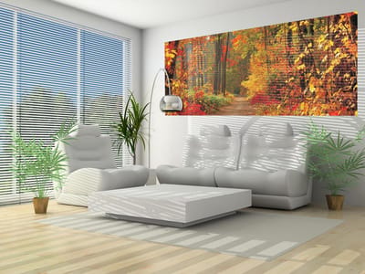 Flowers Forest Nature Photo Wallcovering