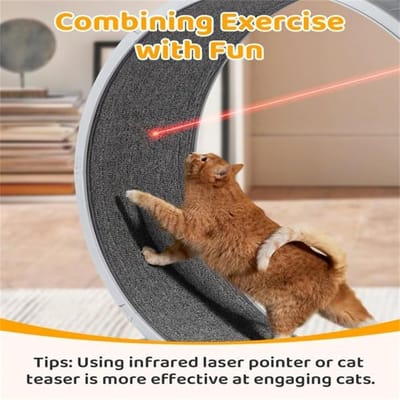 Kattenloopfiets - Loopband Kat - Fitness en Training - Super Stil - 80 cm - Grijs