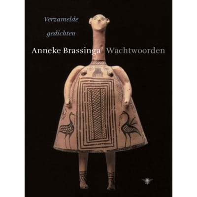 Wachtwoorden - Anneke Brassinga