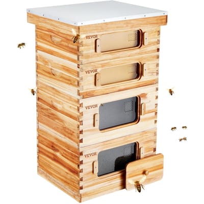 Ruche 40 Cadres Kit de Démarrage Ruches, Bois de Cèdre Enduit de Cire d'Abeille, 2 Corps Profonds + 2 Corps Moyens Kit Ruche Langstroth, Fenêtres Transparente en Acrylique