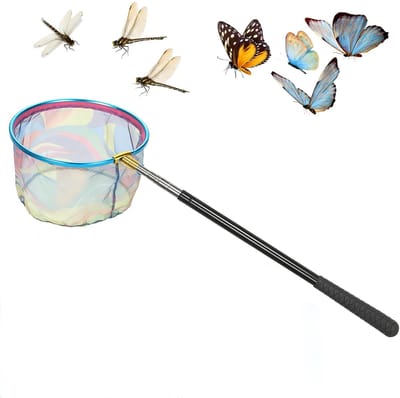 Dailygoods - Telescopische visnet met antislip handgreep, schepnet voor kinderen, intrekbaar, roestvrij staal, vlindernet, verstelbaar, 65-176 cm, voor het vangen van insecten buiten