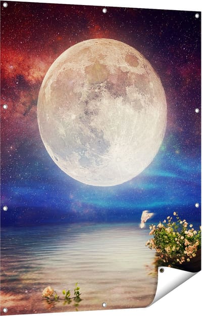 Gards Tuinposter Volle Maan in de Hemel boven het Water - 90x120 cm - Tuindoek - Tuindecoratie - Wanddecoratie buiten - Tuinschilderij