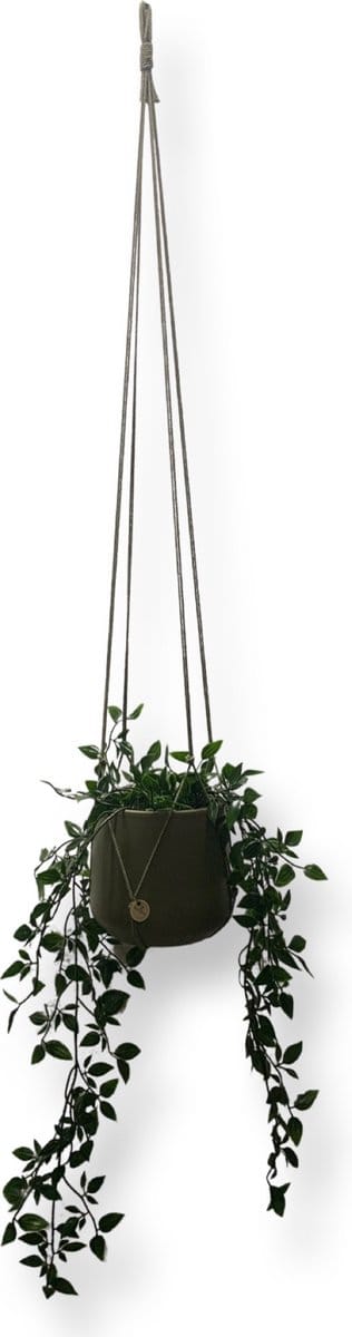 Plantenhanger Zonder Kwast - Kies Kleur en Lengte - Olijfgroen - 120 cm lang - Katoenkoord - Geschikt voor Pot met Diameter t/m 20 cm - Handgemaakt in ons Macramé Atelier - Prijs per Stuk - Let op: Exclusief Pot - Inclusief Verzendkosten