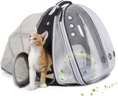 Uitbreidbare Kattendrager Rugzak voor Kleine Honden en Katten tot 20 Pond