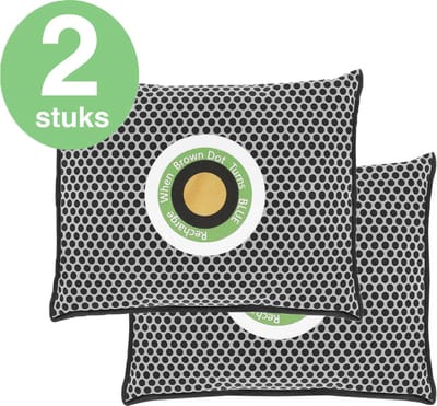 ForDig Auto Ontvochtiger (2 stuks) - Vochtopnemer - Herbruikbaar- 1 KG