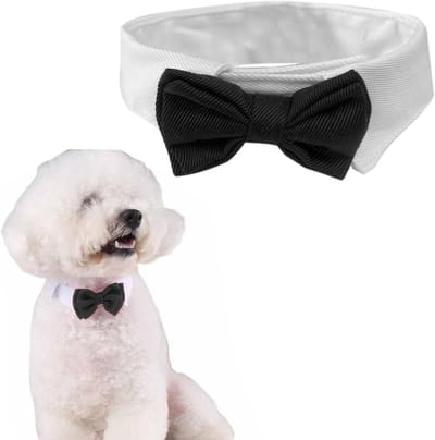 Formele Verstelbare Strik Kraag voor Honden en Katten - Bruiloft en Grooming Kostuums, Zwart, Maat L
