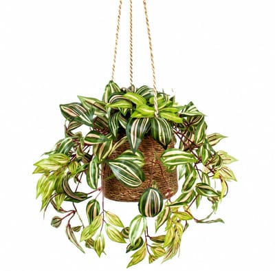 Kunstplant Tradescantia in hangmand naturel L110cm