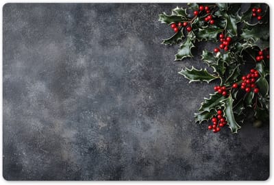 Placemats 45x30 cm - Placemat kunststof - 1 stuk - Christmas - Takken - Winter - Rood - Borden onderleggers - Decoratie voor op tafel - Keuken tafeldecoratie accessoires - Vinyl onderlegger - Tafelversiering