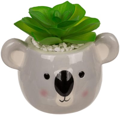 Vetplant in pot, luiaard of koala