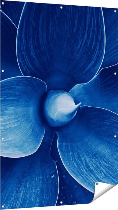 Gards Tuinposter Blauwe Agave Plant - Bloem - 100x150 cm - Tuindoek - Tuindecoratie - Wanddecoratie buiten - Tuinschilderij