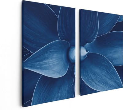 Artaza Canvas Schilderij Tweeluik Blauwe Agave Plant - Bloem - 80x60 cm - Wanddecoratie Woonkamer - Schilderijen - Muurdecoratie