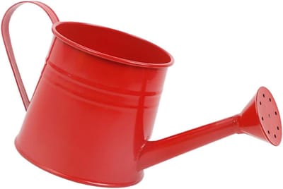 Kleine gieter - Binnen gieter - Planten water geven - Lange smalle tuit - 1 liter - Zilverkleurig