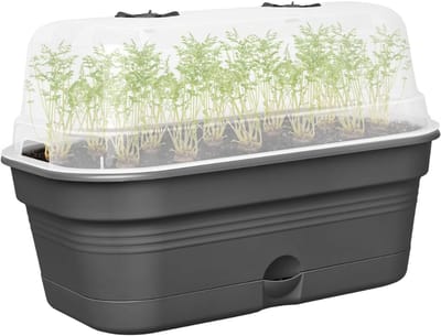 Famanu – Kweekbak met deksel - gemaakt van 100% gerecycled plastic - afmetingen Ø 32.0 x H 13.2 cm - geschikt voor zaaien, planten en kweken van groenten en bloemen