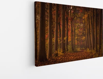 Saammp Canvas Schilderij - Herfstbos - Pad met zonsondergang - Landschap - Natuur - 45x30 - Foto op canvas - Wanddecoratie - Muurdecoratie Woonkamer - Slaapkamer decoratie - Canvas Print
