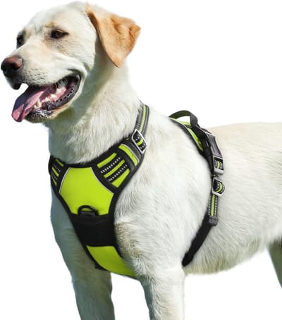 Hondentuig No Pull, Hondenharnas voor Grote Honden, Verstelbare Harnas Hond met Reflecterend Strepen, Gewatteerd Zacht Ademend, Hondentuigje Anti-trek voor Wandelen Training, Groen L