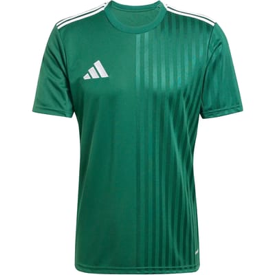 Adidas Campeon 25 T-shirt Met Korte Mouwen Groen M / Regular Man