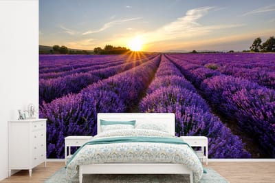 Behang - Fotobehang Lavendel - Bloemen - Zonsondergang - Paars - Breedte 330 cm x hoogte 220 cm