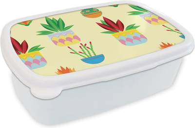 Broodtrommel Wit - Lunchbox - Brooddoos - Planten - Bloempot - Patronen - Regenboog - 18x12x6 cm - Volwassenen