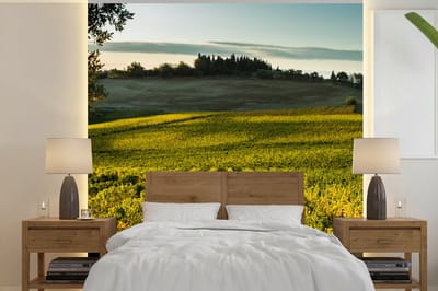 Behang - Fotobehang Toscane - Landschap - Wijn - Breedte 220 cm x hoogte 220 cm
