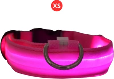 Nivard Lichtgevende Halsband - Verlichte Halsband - Lichtgevend - Hond - Kat - Lampje - Hondenhalsband Led - Nekband - Roze XS