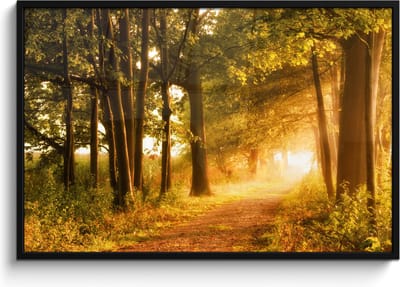 Poster in lijst - Fotolijst 120x80 cm - Posters - Bos - Bomen - Zonlicht - Herfst - Bospad - Natuur - Posterlijst zwart - Decoratie - Wanddecoratie woonkamer - Muurdecoratie slaapkamer