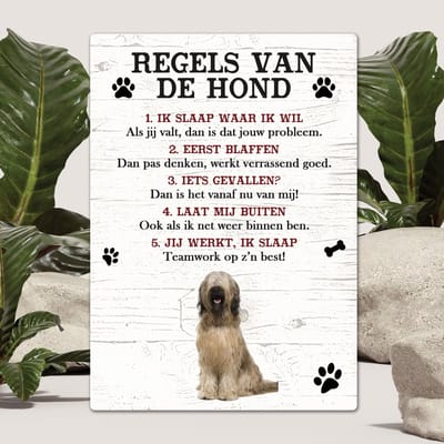 Spreuken - Briard - Regels Van De Hond - Spreuken Bordjes - Spreukenbord - Tekstborden - Cadeau - Hondenras