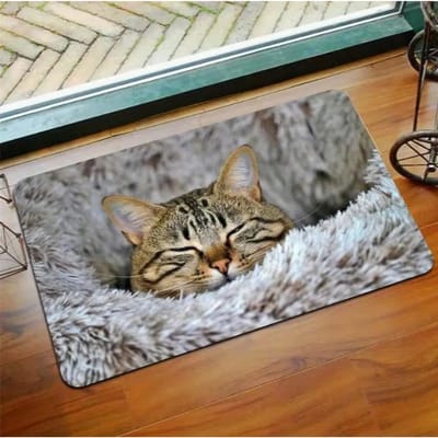 1 Leuke Katten Deurmat Binnen en Buiten Entree Mat Stofvanger voor Hal Tuin Keuken Kat Thema Huisdecoratie 50X80cm