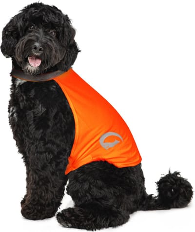 Nightwalk Safety Vest - Ruglengte 35 cm - Veiligheidsvest hond - Hondenvest - Veiligheidshesje Hond - Fluo Hond - Reflecterend veiligheidshesje - Maat M - Oranje