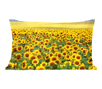 Sierkussens - Kussentjes Woonkamer - 50x30 cm - Zonnebloem - Bloemen - Natuur