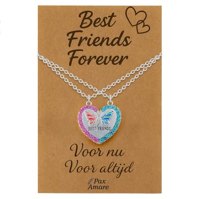 BFF Ketting voor 2 'Best Friends Forever' - Magnetisch Hartje met Vlinder - Vriendschapsketting op Cadeau Kaartje - 45cm + 5cm verstelbaar - Zilverkleurig - Best Friends Hanger - Pax Amare