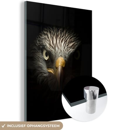 MuchoWow® Glasschilderij 120x160 cm - Schilderij acrylglas - Vogel - Adelaar - Roofvogels - Oog - Snavel - Licht - Foto op glas - Schilderijen