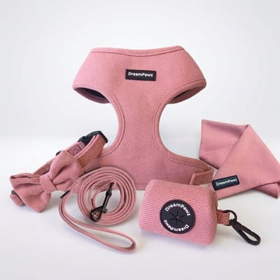DreamPawz - Set van Harnas, Halsband, Riem en 3 accessoires - 6-Delige Set - Hondentuigje, Halsband, Leiband, Strikje, Poepzakjedispenser, Bandana - incl. Cadeauverpakking - Roze - S