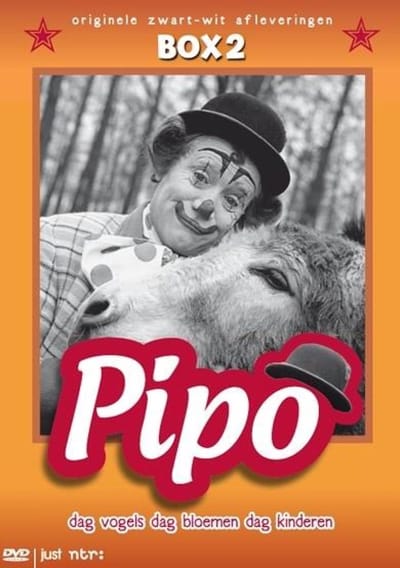 Pipo Box 2