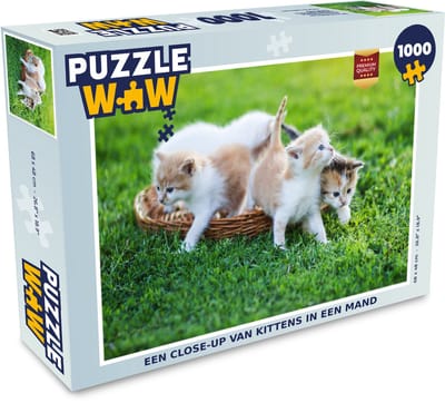 Puzzel Een close-up van kittens in een mand - Legpuzzel - Puzzel 1000 stukjes volwassenen