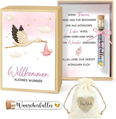 Origineel Geldgeschenk voor Geboorte met Wenskaart en Mooie Verpakking