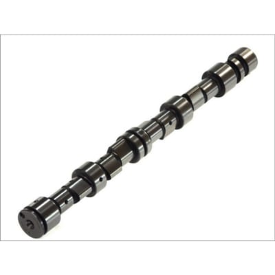 Nokkenas  AE CAM735