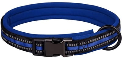 Dailygoods- Halsband Reflecterend - Verstelbaar - Zacht Neopreen - Roestvrij Staal - Veiligheidsgesp - XS Fit Hals 25-32cm - Hondhalsband