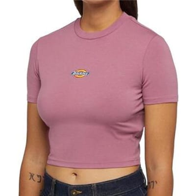 T-shirt Dickies Maple Valley Tee Mellow